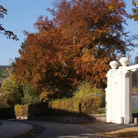 Hofgärtnerei-2